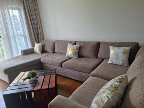 Dolphin Luxurious 1 bedroom apartment, free parking on site